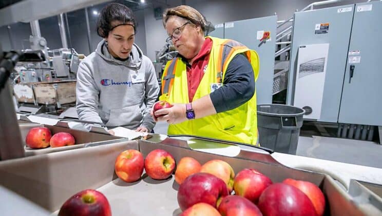 +120 Puestos de Empacadores de Frutas y Verduras 2024